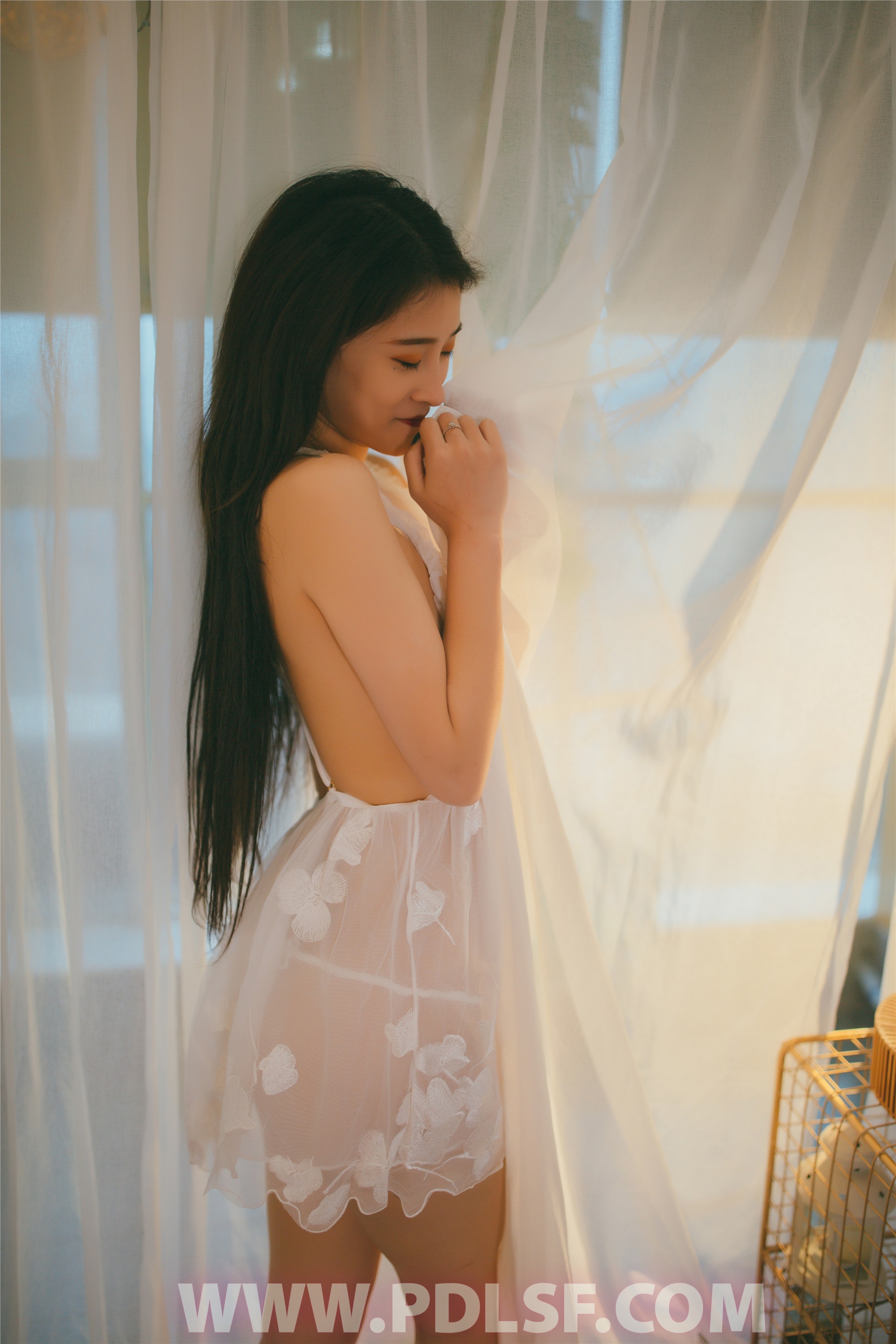 PDL潘多拉 2019.12.26 专辑No.258